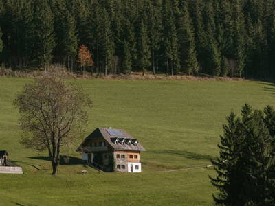 Bild 27 aus  Pieber-Staberhof