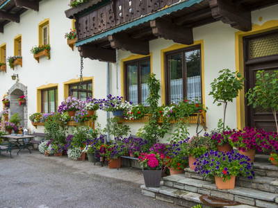 Bild 11 aus  Salaterhof