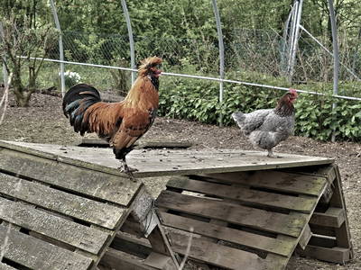 Bild 41 aus  Gut Guntrams - Villa Tranquillini