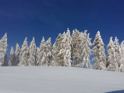 Bild 79 aus  Kirchenbichler