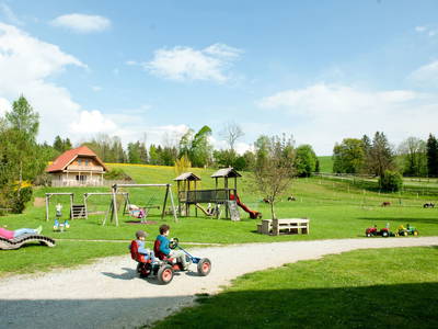 Bild 96 aus  Miniponyhof Wild