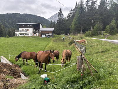 Bild 122 aus Riatschhof