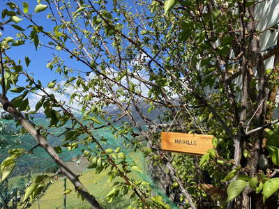 Bild 51 aus Alpenfarm Poschhof