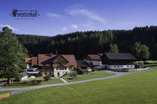 Forsterhof aus Ramsau am Dachstein