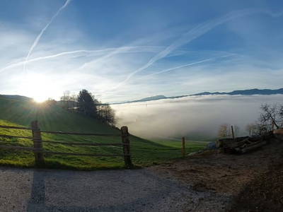 Bild 99 aus  Forstnighof