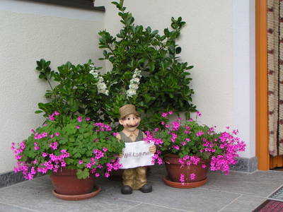 Bild 34 aus  Bauernhof Ober