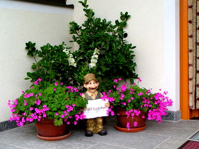 Bild 33 aus Bauernhof Ober
