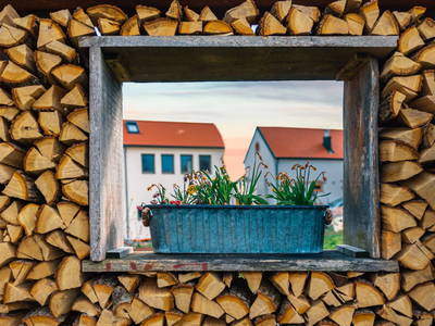 Bild 6 aus  Biohof zum grünen Baum