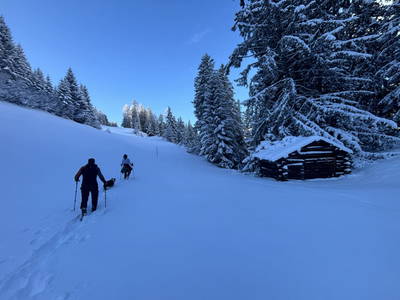 Bild 161 aus Riatschhof