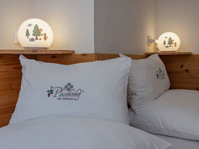 Bild 135 aus  Pleschinhof