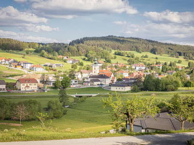 Bild 50 aus Biohof Pascher