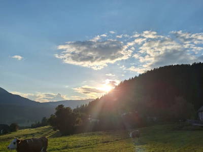 Bild 148 aus Naturpark Bauernhof Sperl
