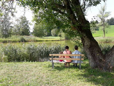 Bild 106 aus  Familie Nußbaumer 