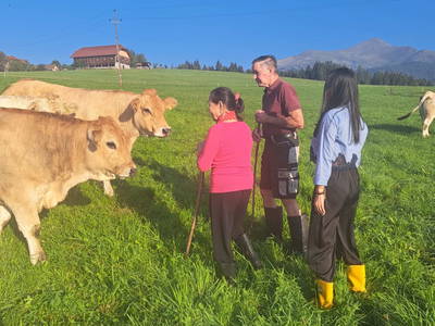 Bild 52 aus  Rotlechner