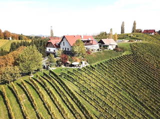 Weingut Dworschak aus Leutschach