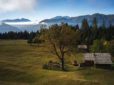 Bild 53 aus  Almhütte Bodner-Kammer
