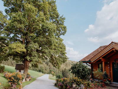 Bild 259 aus  Michlbauer