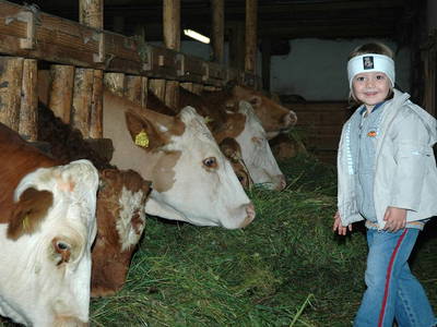 Bild 35 aus  Hoferpeter