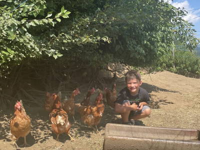 Bild 47 aus  Pirkerhof