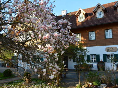 Bild 19 aus  Weingut Seiner vlg.Kraxner