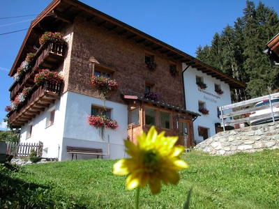 Bild 2 aus  Reinalter