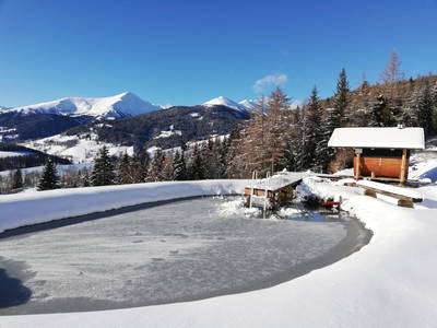 Bild 118 aus  Almchalet Nikola