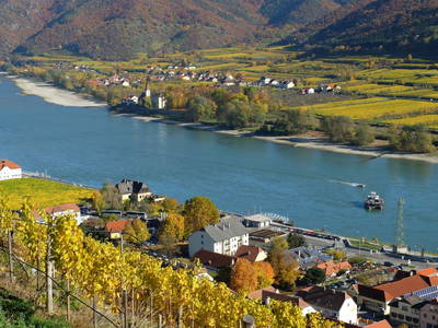 Bild 94 aus  Weingut STRAWANZER Donabaum