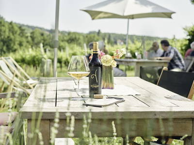 Bild 9 aus  Weingut Krispel