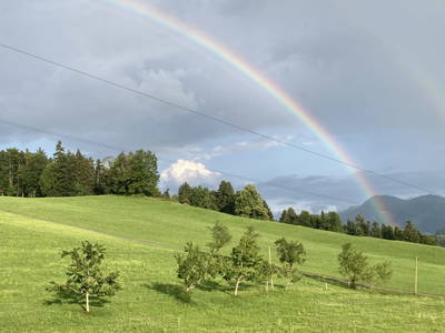 Bild 9 aus  Familie Nußbaumer 