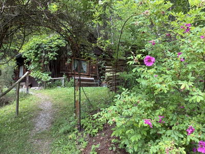 Bild 8 aus  Kräutlhütte Auer