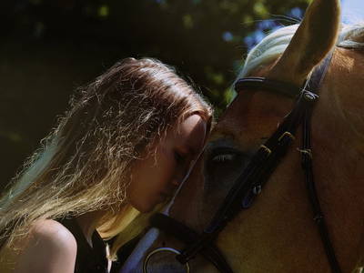 Bild 2 aus  Bio-Bauernhof Knaller