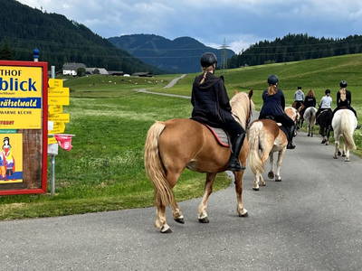 Bild 11 aus  Kuchlbauer