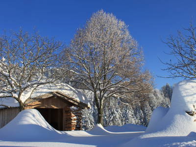 Bild 53 aus  Naturhof Innauer