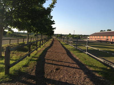 Bild 25 aus  Bernsteinreiter Hirschburg