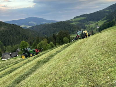 Bild 13 aus  Schoberkogelhütte