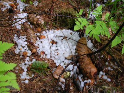 Bild 139 aus  Bacherhof