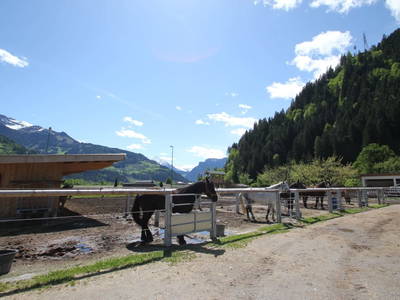 Bild 23 aus  Fehlehof