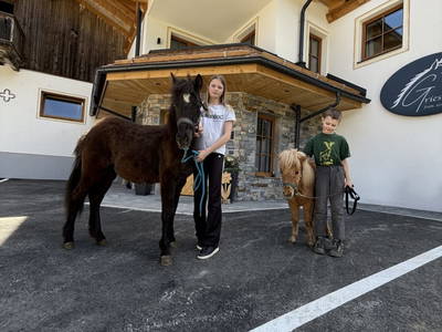 Bild 11 aus  Griesbauer - Familie Gehwolf