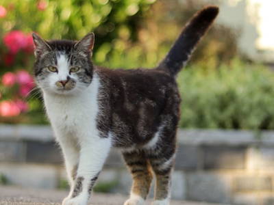 Bild 16 aus  Lodge am Wasser