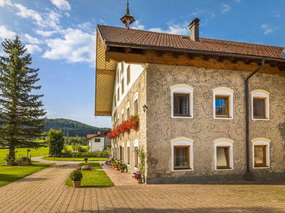 Bild 21 aus  Bio Bauernhof Paulbauer