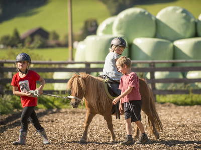 Bild 53 aus  Ferienwohnungen Ranstl