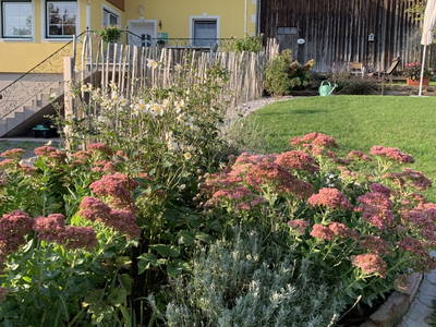 Bild 10 aus  Gästehaus Gnant