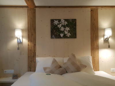 Bild 326 aus  Der Ortnerhof