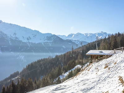 Bild 56 aus  Sonnenhütte