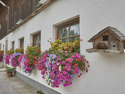 Bild 26 aus  Stückler - Hütte