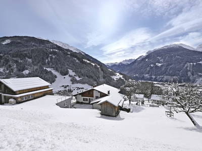 Bild 49 aus  Därflihof