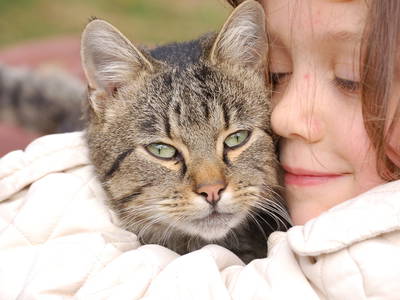 Bild 72 aus  Biobauernhof Walcherhof