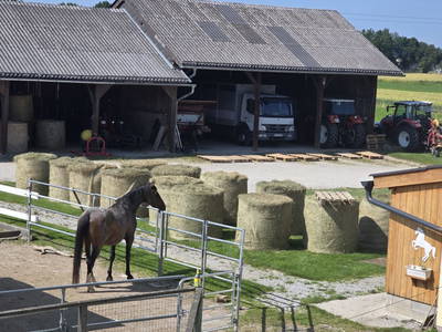 Bild 57 aus  Santnergut