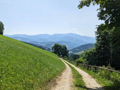 Bild 31 aus  Alm-Ferienhaus Schleinzer