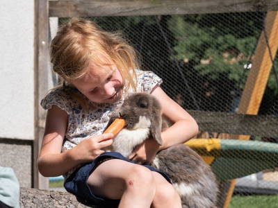 Bild 7 aus  Gasteinblick